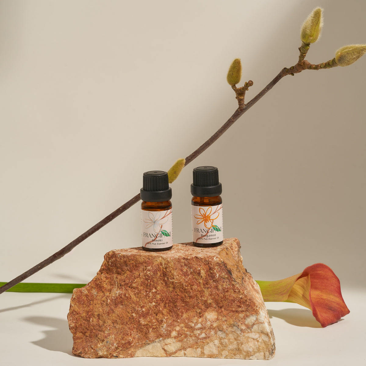 Frangipani Hinoki and Bergamot oil bottles on a rock with a magnolia branch