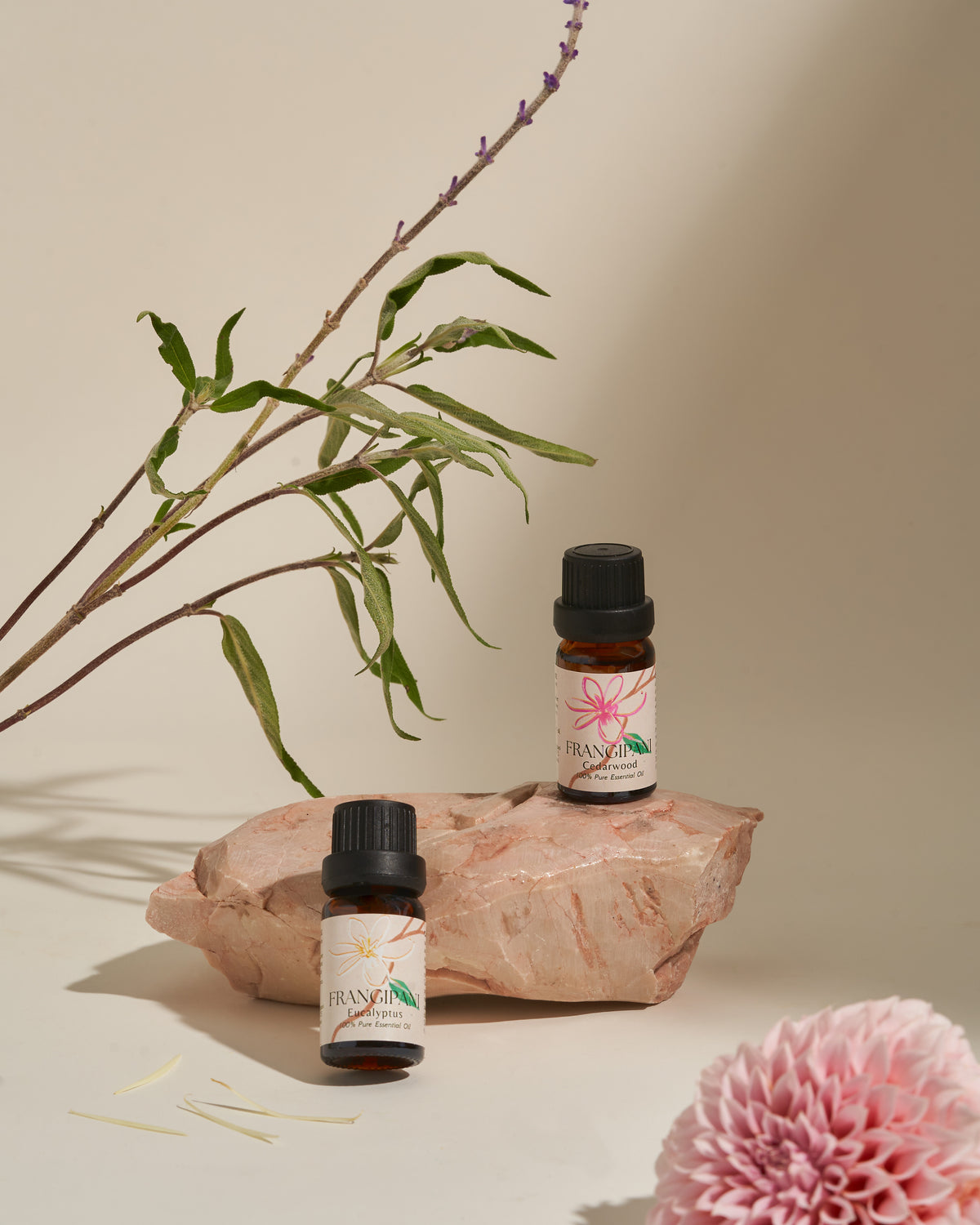 Frangipani Cedarwood and Eucalyptus oils on a stone with a pink dahlia