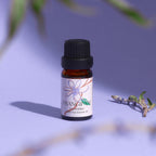 Frangipani Lavender essential oil bottle with dried lavender sprigs