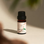 Frangipani Hinoki essential oil bottle in dappled natural light