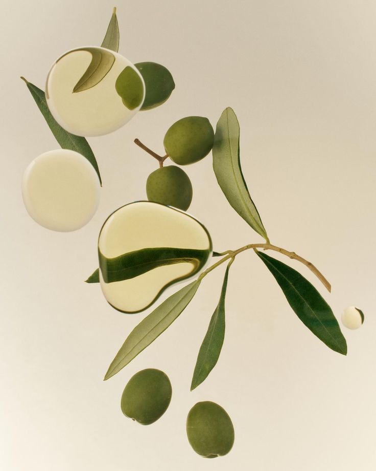 Olive branch with green olives and leaves on a beige background